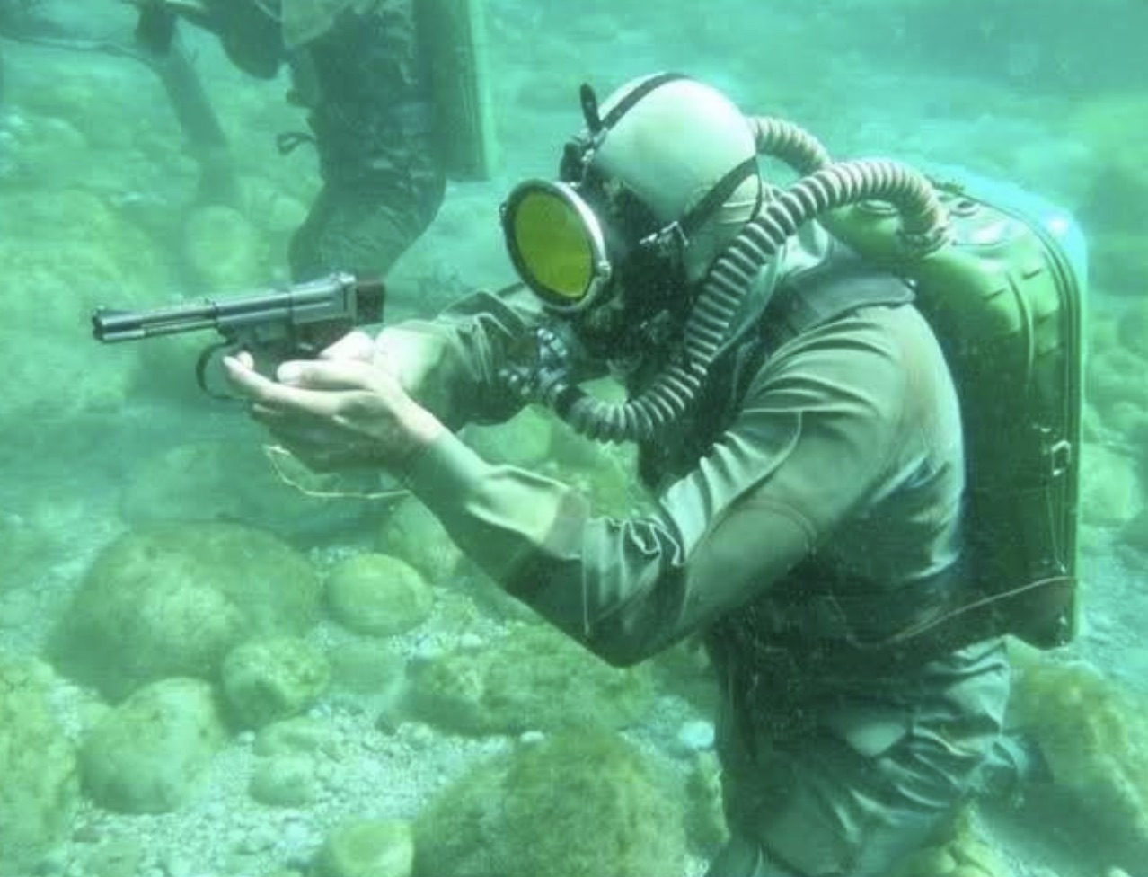 Aiming at a swordfish